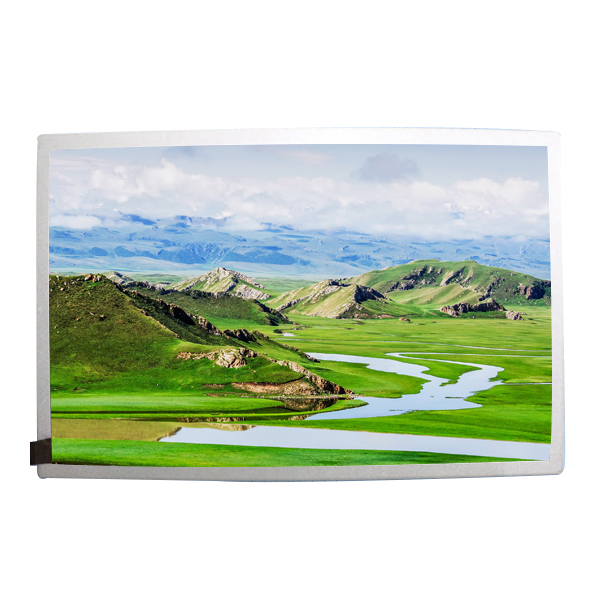 10.1inch Factory price High Brightness TFT sunlight readable LCD panel