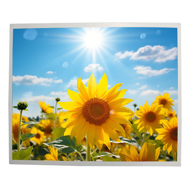 17"Manufacturer high brightness  Monitors screen panels LCD module