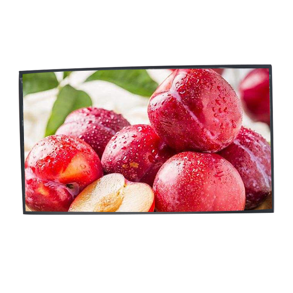 55"Manufacturer digital advertising panel Panel publicized Panel TFT LCD module