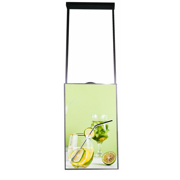 65"OEM Window Facing Screen High brightness Digital Window Displays